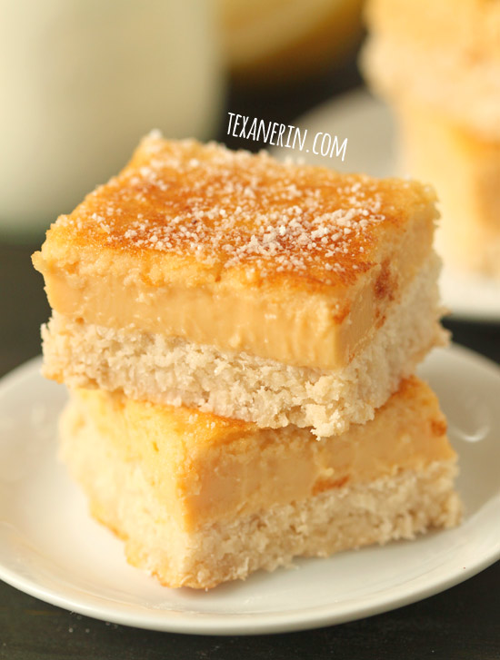 These healthier lemon bars are free of grains, gluten, and dairy and are maple sweetened! | texanerin.com